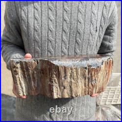 16.9lb Rare Natural petrified wood rough Wood fossil mineral specimen healing 16.9lb Rare Natural petrified wood rough Wood fossil mineral specimen healing