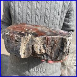 16.9lb Rare Natural petrified wood rough Wood fossil mineral specimen healing 16.9lb Rare Natural petrified wood rough Wood fossil mineral specimen healing