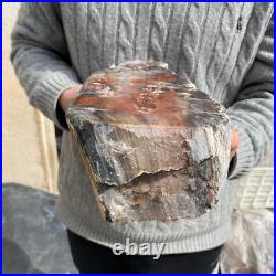 16.9lb Rare Natural petrified wood rough Wood fossil mineral specimen healing 16.9lb Rare Natural petrified wood rough Wood fossil mineral specimen healing
