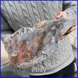 16.9lb Rare Natural petrified wood rough Wood fossil mineral specimen healing 16.9lb Rare Natural petrified wood rough Wood fossil mineral specimen healing
