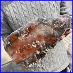 16.9lb Rare Natural petrified wood rough Wood fossil mineral specimen healing 16.9lb Rare Natural petrified wood rough Wood fossil mineral specimen healing