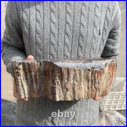 16.9lb Rare Natural petrified wood rough Wood fossil mineral specimen healing 16.9lb Rare Natural petrified wood rough Wood fossil mineral specimen healing