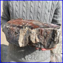16.9lb Rare Natural petrified wood rough Wood fossil mineral specimen healing 16.9lb Rare Natural petrified wood rough Wood fossil mineral specimen healing