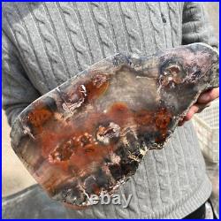 16.9lb Rare Natural petrified wood rough Wood fossil mineral specimen healing 16.9lb Rare Natural petrified wood rough Wood fossil mineral specimen healing