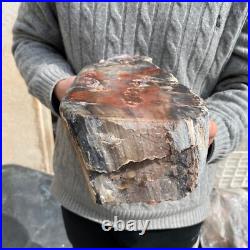 16.9lb Rare Natural petrified wood rough Wood fossil mineral specimen healing 16.9lb Rare Natural petrified wood rough Wood fossil mineral specimen healing