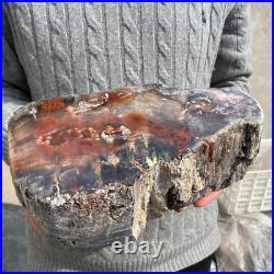 16.9lb Rare Natural petrified wood rough Wood fossil mineral specimen healing 16.9lb Rare Natural petrified wood rough Wood fossil mineral specimen healing