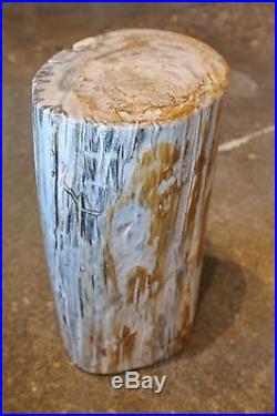 16 H x 10 x 8 petrified wood stool black gray white brown full polish 366R