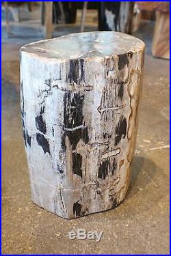 16 H x 12 x 8 petrified wood stool black gray white brown full polish 366S