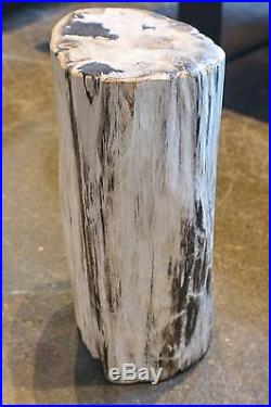 16 H x 9 x 7 petrified wood stool black gray white full polish 366q