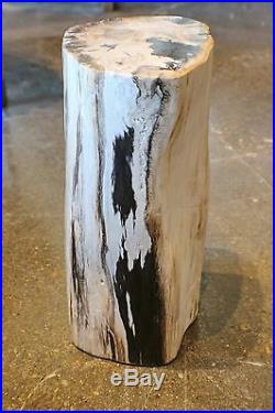 16 H x 9 x 7 petrified wood stool black gray white full polish 366q