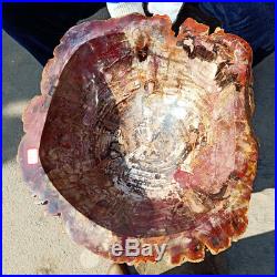 17108lb TOP RARE Giant Marvelous Red PETRIFIED WOOD Branch Basin Box Madagascar