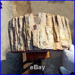 17108lb TOP RARE Giant Marvelous Red PETRIFIED WOOD Branch Basin Box Madagascar