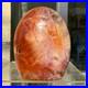 1720g_Natural_Fossil_Petrified_Wood_Polished_Freeform_Crystal_Mineral_Healing_01_aedw