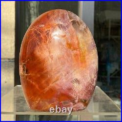 1720g Natural Fossil Petrified Wood Polished Freeform Crystal Mineral Healing 1720g Natural Fossil Petrified Wood Polished Freeform Crystal Mineral Healing
