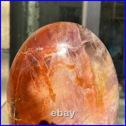 1720g Natural Fossil Petrified Wood Polished Freeform Crystal Mineral Healing 1720g Natural Fossil Petrified Wood Polished Freeform Crystal Mineral Healing