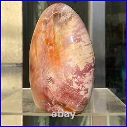 1720g Natural Fossil Petrified Wood Polished Freeform Crystal Mineral Healing 1720g Natural Fossil Petrified Wood Polished Freeform Crystal Mineral Healing