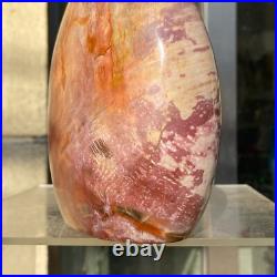 1720g Natural Fossil Petrified Wood Polished Freeform Crystal Mineral Healing 1720g Natural Fossil Petrified Wood Polished Freeform Crystal Mineral Healing