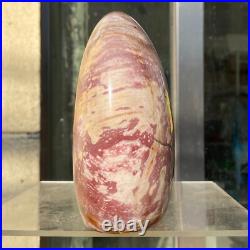 1720g Natural Fossil Petrified Wood Polished Freeform Crystal Mineral Healing 1720g Natural Fossil Petrified Wood Polished Freeform Crystal Mineral Healing