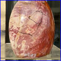 1720g Natural Fossil Petrified Wood Polished Freeform Crystal Mineral Healing 1720g Natural Fossil Petrified Wood Polished Freeform Crystal Mineral Healing