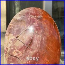 1720g Natural Fossil Petrified Wood Polished Freeform Crystal Mineral Healing 1720g Natural Fossil Petrified Wood Polished Freeform Crystal Mineral Healing