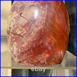 1720g Natural Fossil Petrified Wood Polished Freeform Crystal Mineral Healing 1720g Natural Fossil Petrified Wood Polished Freeform Crystal Mineral Healing