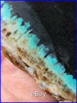 172 gram Indonesian Blue Opalized Petrified Wood Thick Slab