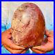 1730g_Natural_Red_Petrified_Wood_Crystal_Fossil_Landscape_Specimen_Reiki_Healing_01_nugy