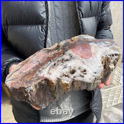 17.1lb Rare Natural petrified wood rough Wood fossil mineral specimen healing 17.1lb Rare Natural petrified wood rough Wood fossil mineral specimen healing