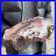 17_1lb_Rare_Natural_petrified_wood_rough_Wood_fossil_mineral_specimen_healing_01_ww