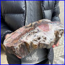 17.1lb Rare Natural petrified wood rough Wood fossil mineral specimen healing 17.1lb Rare Natural petrified wood rough Wood fossil mineral specimen healing