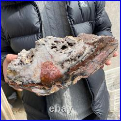 17.1lb Rare Natural petrified wood rough Wood fossil mineral specimen healing 17.1lb Rare Natural petrified wood rough Wood fossil mineral specimen healing