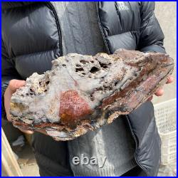 17.1lb Rare Natural petrified wood rough Wood fossil mineral specimen healing 17.1lb Rare Natural petrified wood rough Wood fossil mineral specimen healing