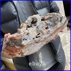 17.1lb Rare Natural petrified wood rough Wood fossil mineral specimen healing 17.1lb Rare Natural petrified wood rough Wood fossil mineral specimen healing