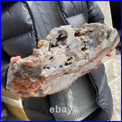 17.1lb Rare Natural petrified wood rough Wood fossil mineral specimen healing 17.1lb Rare Natural petrified wood rough Wood fossil mineral specimen healing