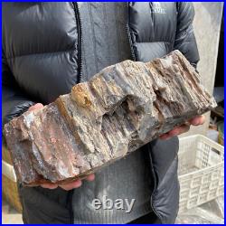 17.1lb Rare Natural petrified wood rough Wood fossil mineral specimen healing 17.1lb Rare Natural petrified wood rough Wood fossil mineral specimen healing