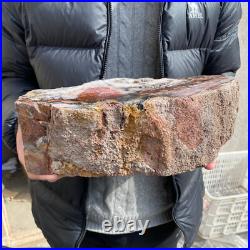 17.1lb Rare Natural petrified wood rough Wood fossil mineral specimen healing 17.1lb Rare Natural petrified wood rough Wood fossil mineral specimen healing