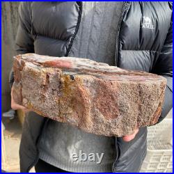 17.1lb Rare Natural petrified wood rough Wood fossil mineral specimen healing 17.1lb Rare Natural petrified wood rough Wood fossil mineral specimen healing