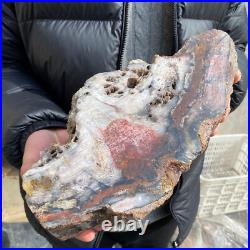 17.1lb Rare Natural petrified wood rough Wood fossil mineral specimen healing 17.1lb Rare Natural petrified wood rough Wood fossil mineral specimen healing