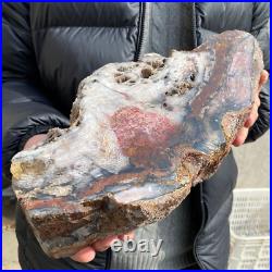17.1lb Rare Natural petrified wood rough Wood fossil mineral specimen healing 17.1lb Rare Natural petrified wood rough Wood fossil mineral specimen healing