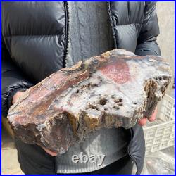 17.1lb Rare Natural petrified wood rough Wood fossil mineral specimen healing 17.1lb Rare Natural petrified wood rough Wood fossil mineral specimen healing