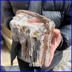 17.1lb Rare Natural petrified wood rough Wood fossil mineral specimen healing 17.1lb Rare Natural petrified wood rough Wood fossil mineral specimen healing
