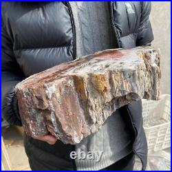 17.1lb Rare Natural petrified wood rough Wood fossil mineral specimen healing 17.1lb Rare Natural petrified wood rough Wood fossil mineral specimen healing