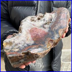 17.1lb Rare Natural petrified wood rough Wood fossil mineral specimen healing 17.1lb Rare Natural petrified wood rough Wood fossil mineral specimen healing