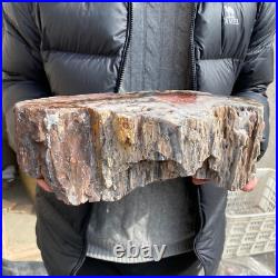 17.1lb Rare Natural petrified wood rough Wood fossil mineral specimen healing 17.1lb Rare Natural petrified wood rough Wood fossil mineral specimen healing