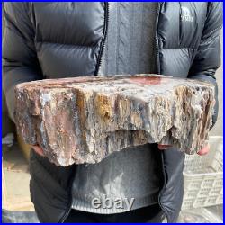 17.1lb Rare Natural petrified wood rough Wood fossil mineral specimen healing 17.1lb Rare Natural petrified wood rough Wood fossil mineral specimen healing