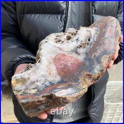 17.1lb Rare Natural petrified wood rough Wood fossil mineral specimen healing 17.1lb Rare Natural petrified wood rough Wood fossil mineral specimen healing
