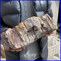 17.1lb Rare Natural petrified wood rough Wood fossil mineral specimen healing 17.1lb Rare Natural petrified wood rough Wood fossil mineral specimen healing