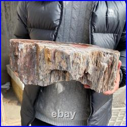 17.1lb Rare Natural petrified wood rough Wood fossil mineral specimen healing 17.1lb Rare Natural petrified wood rough Wood fossil mineral specimen healing