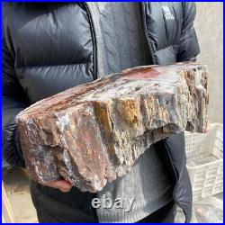 17.1lb Rare Natural petrified wood rough Wood fossil mineral specimen healing 17.1lb Rare Natural petrified wood rough Wood fossil mineral specimen healing