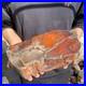 17_2lb_Rare_Natural_petrified_wood_rough_Wood_fossil_mineral_specimen_healing_01_kkw